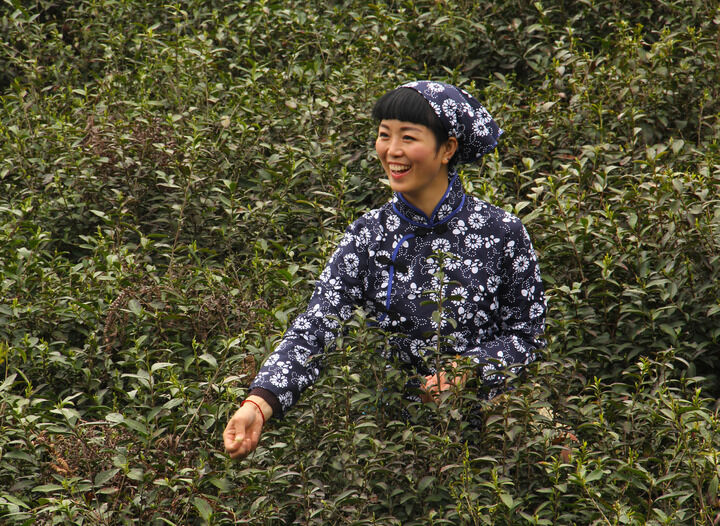 17间房主播跳舞 电影1